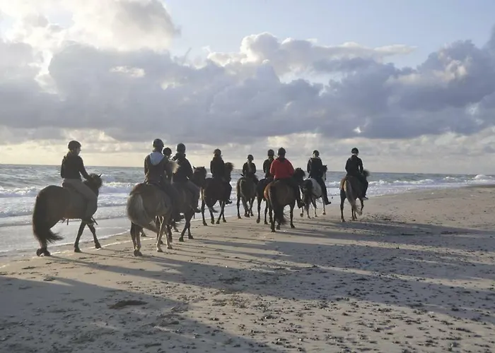 Nymindegab Ridecenter * Nørre Nebel